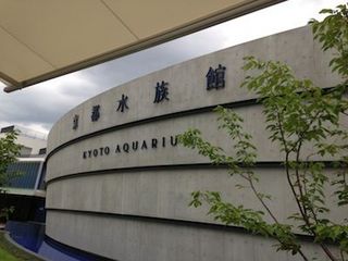 IMG_2218.jpg