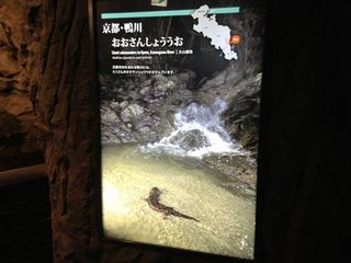 IMG_2220.jpg