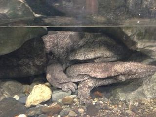 IMG_2222.jpg