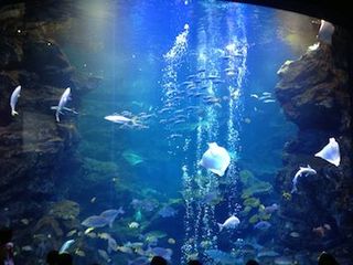 IMG_2243.jpg