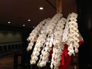 IMG_2268.jpg