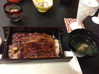 IMG_2356.jpg