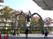 roppongi1.jpg